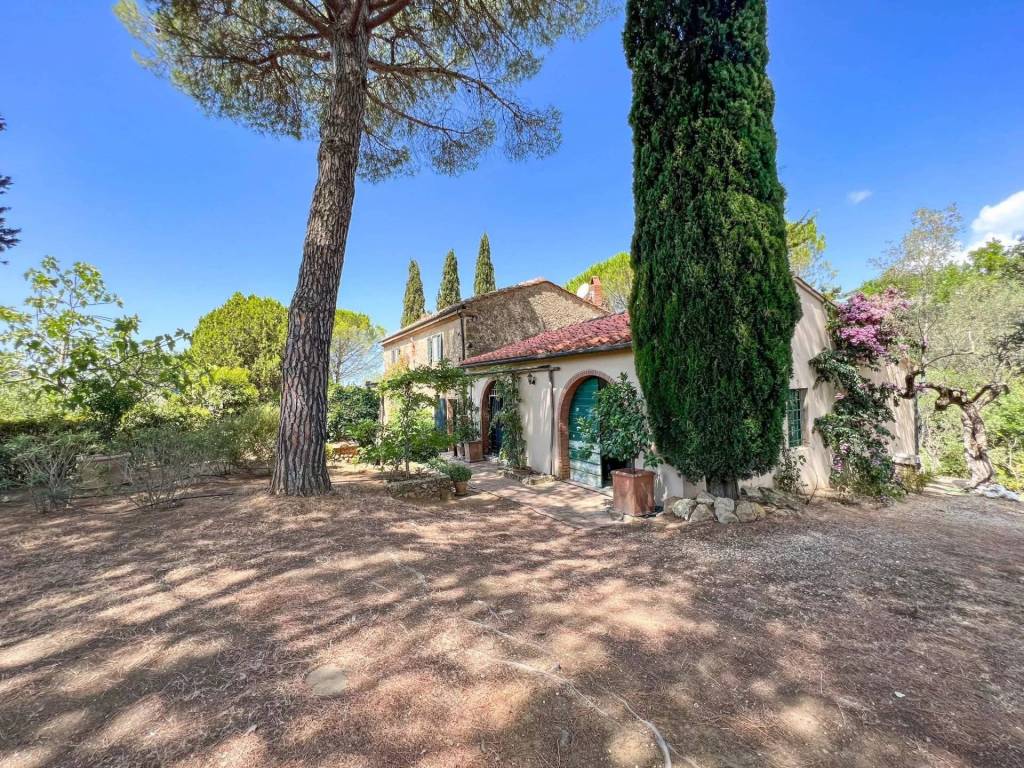 Rustico / casale a Guardistallo - Foto 4