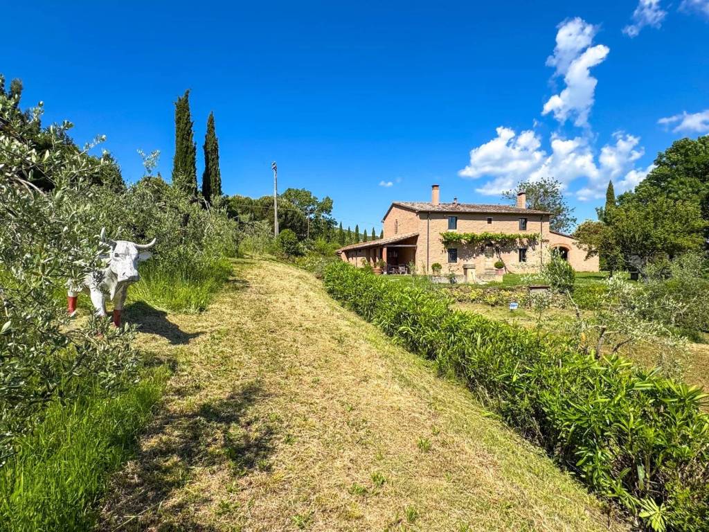 Villa a Riparbella - Foto 4