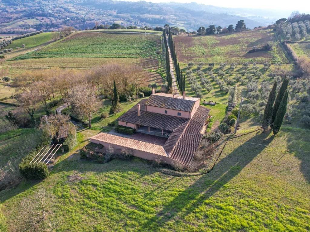 Villa a Riparbella - Foto 5