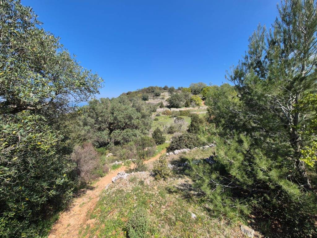 Terreno a Locorotondo in Contrada Tumbinno - Foto 3