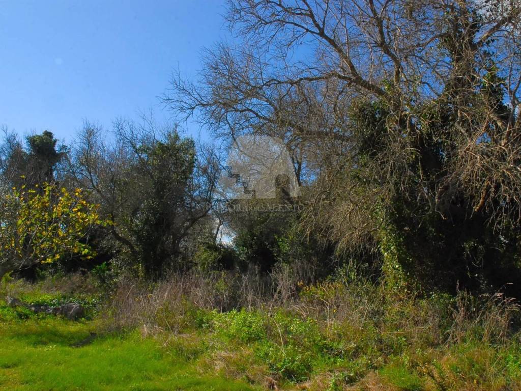 Terreno a Specchia in Strada Comunale Sant'Angelo - Foto 2