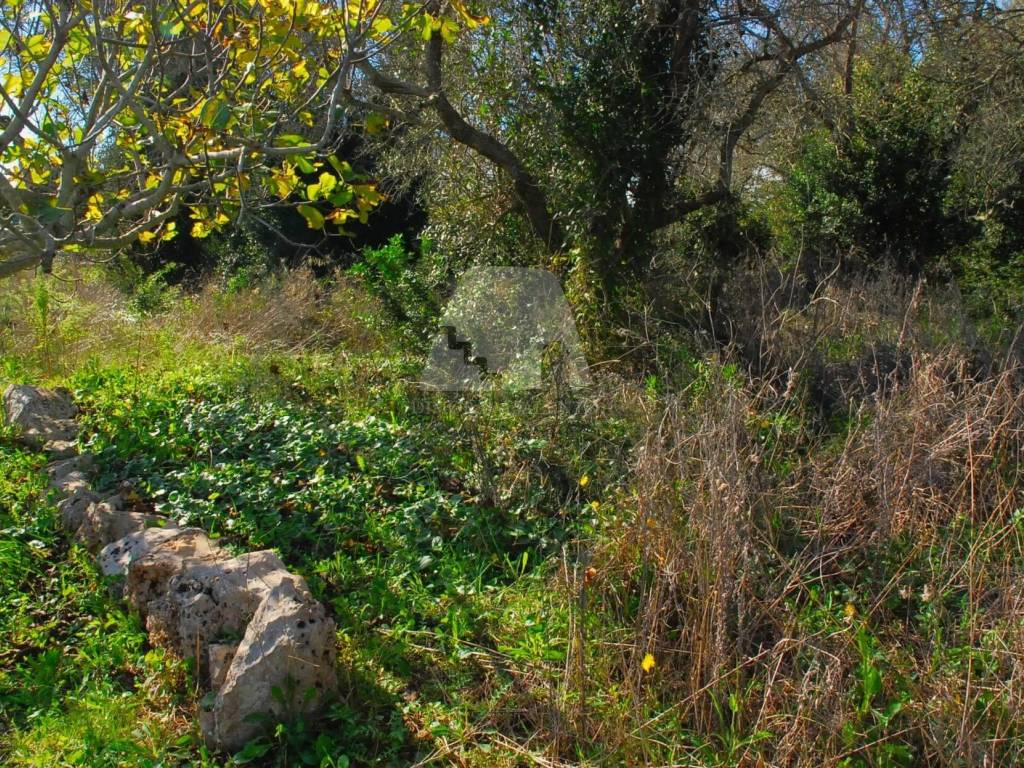 Terreno a Specchia in Strada Comunale Sant'Angelo - Foto 4