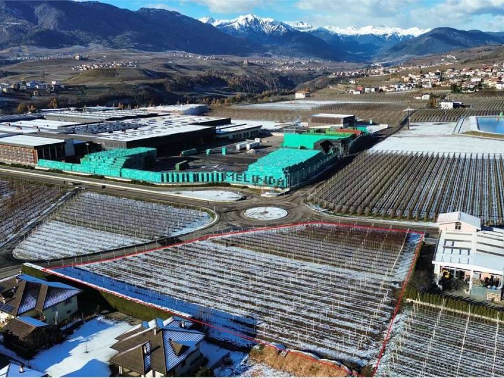Terreno a Predaia in VIA DELLA LOVARA MOLLARO - Foto 3