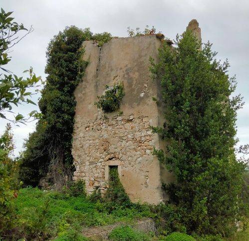 Terreno a Vico del gargano in Località Malvestuto - Foto 5