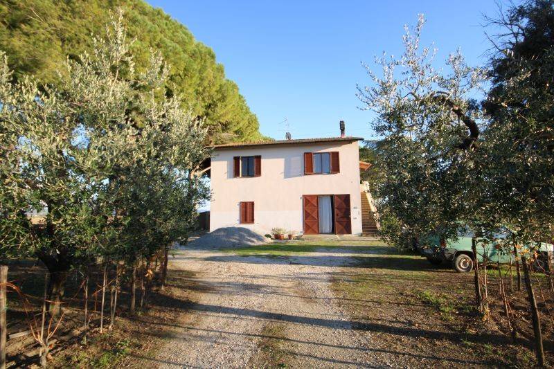 Rustico / casale a Campiglia marittima in Via degli Affitti - Foto 2