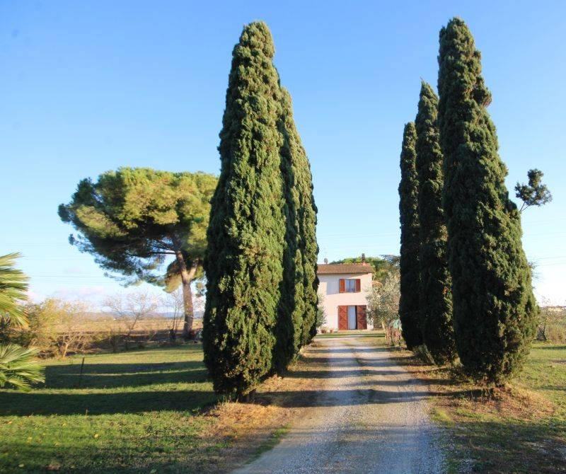 Rustico / casale a Campiglia marittima in Via degli Affitti - Foto 3