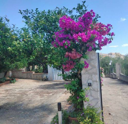 Villa a Vieste in Via Santa Margherita 65 - Foto 5