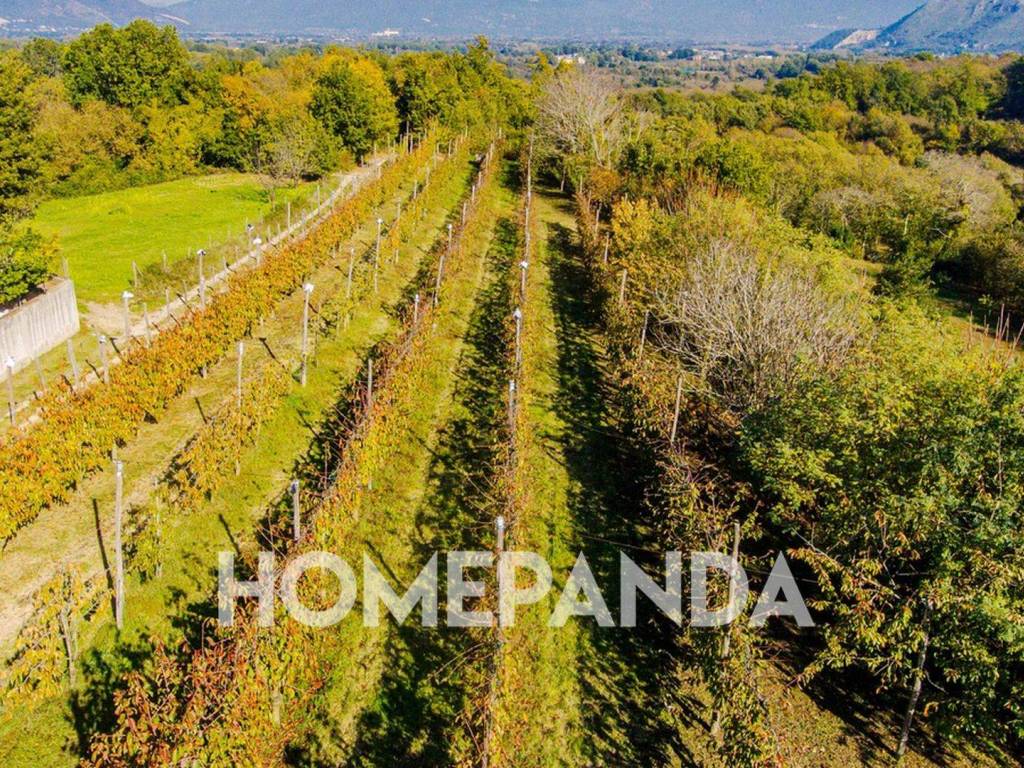 Terreno a Caianello in Via Ceraselle, 394 - Foto 2
