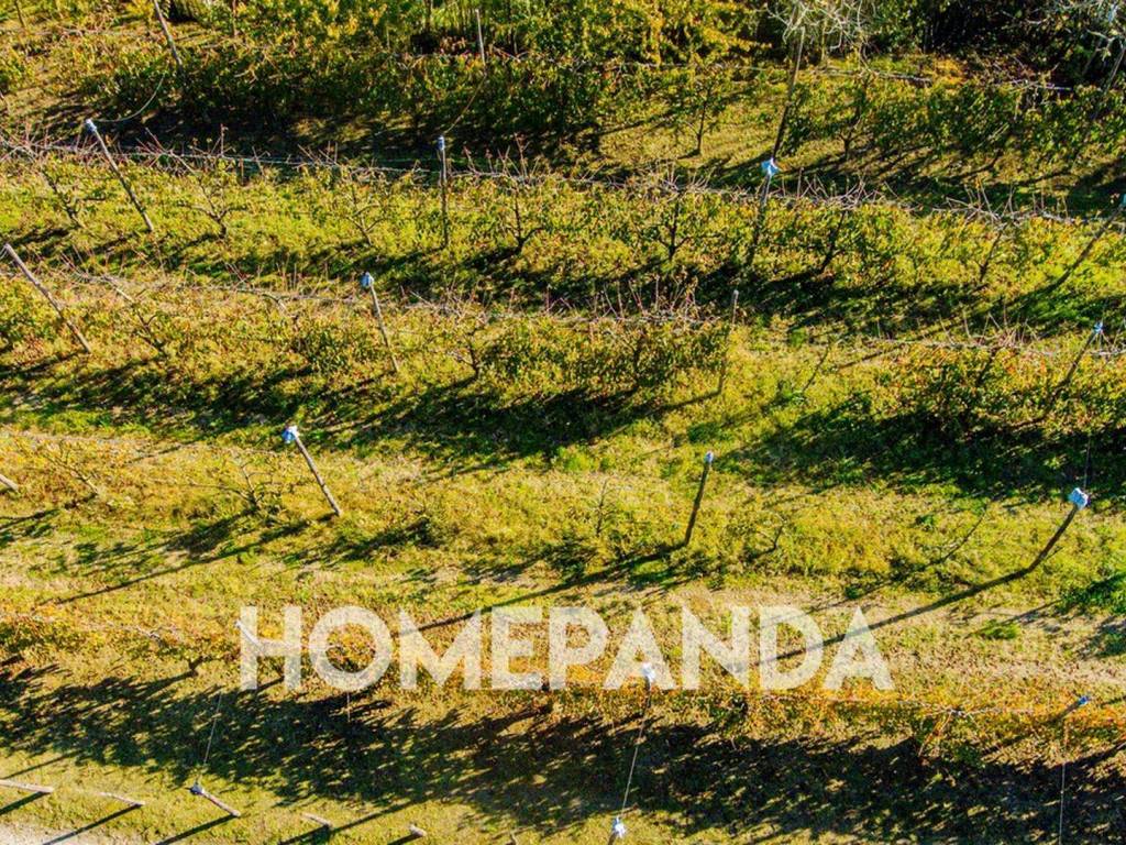 Terreno a Caianello in Via Ceraselle, 394 - Foto 3