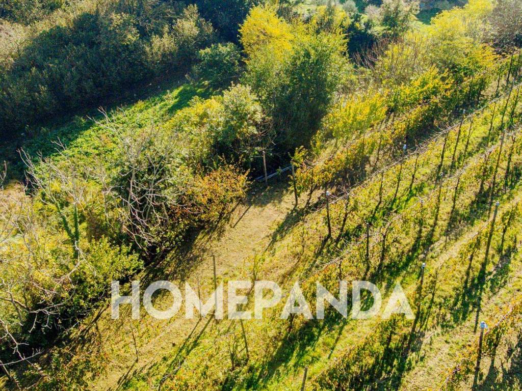 Terreno a Caianello in Via Ceraselle, 394 - Foto 5