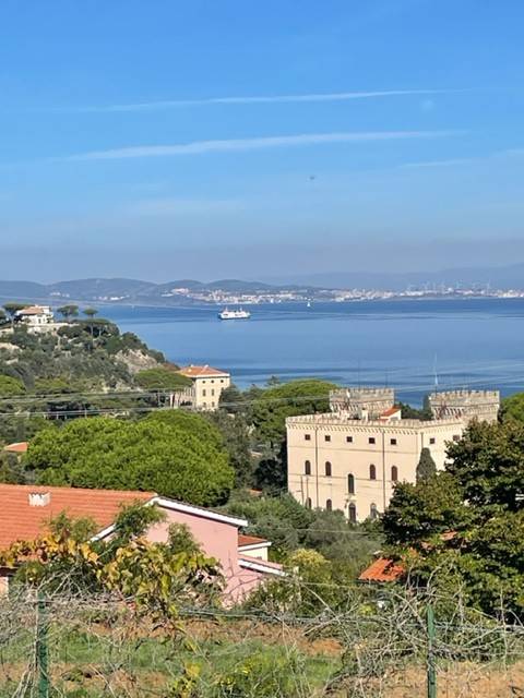 Appartamento a Rio in Salita delle Palme - Foto 3
