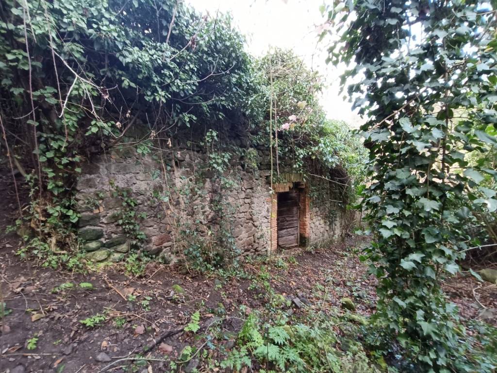 Terreno a Viterbo - Foto 2