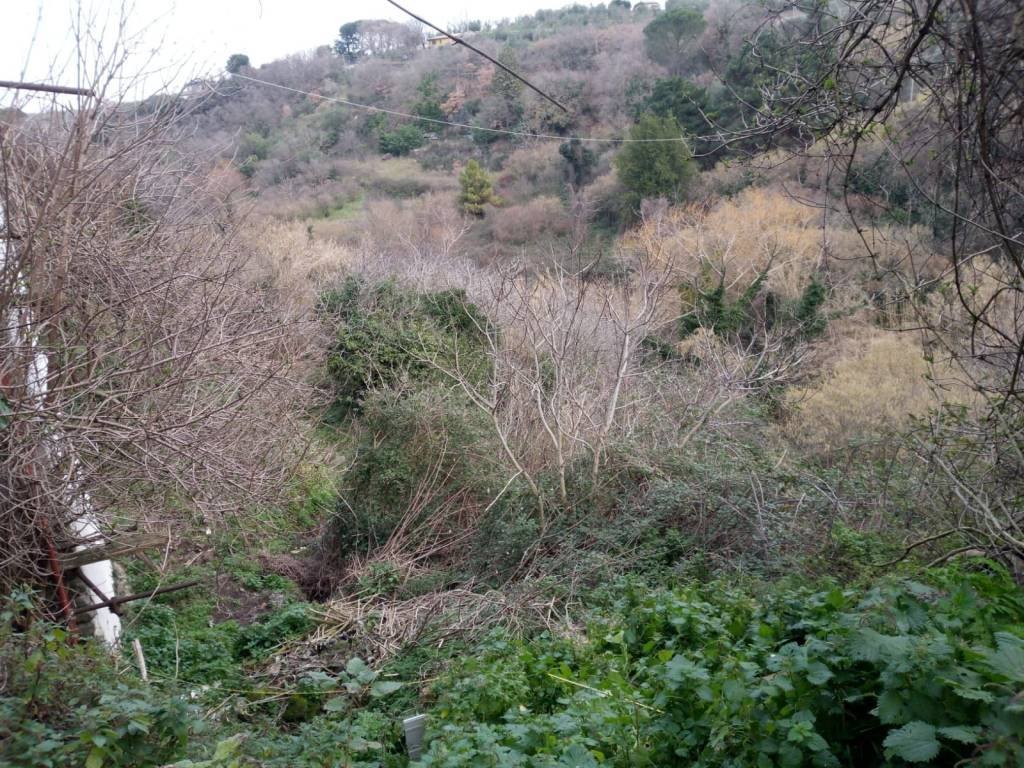 Terreno a Viterbo - Foto 3