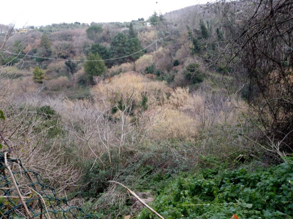 Terreno a Viterbo - Foto 4