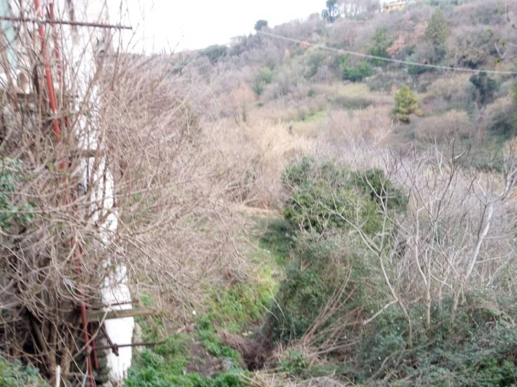 Terreno a Viterbo - Foto 5