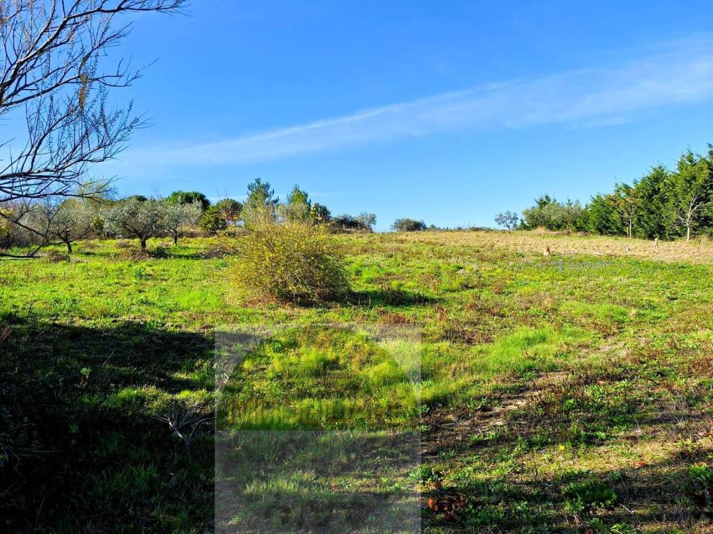 Terreno a Cupello - Foto 3