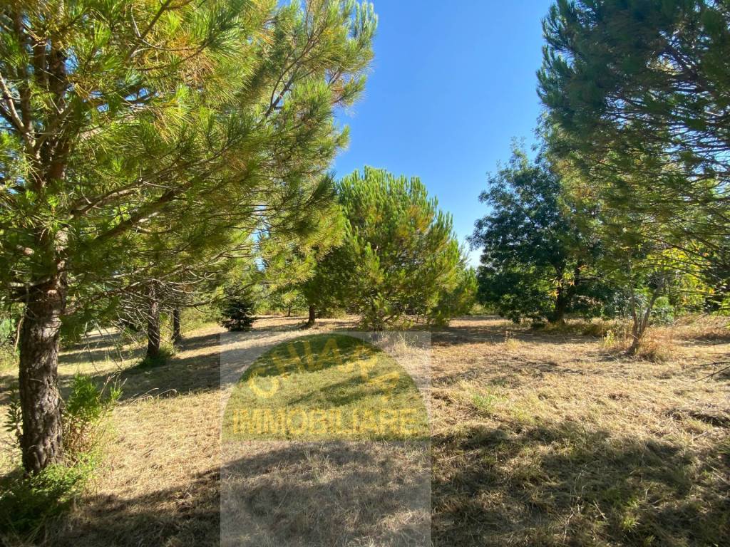 Terreno a Cupello - Foto 4