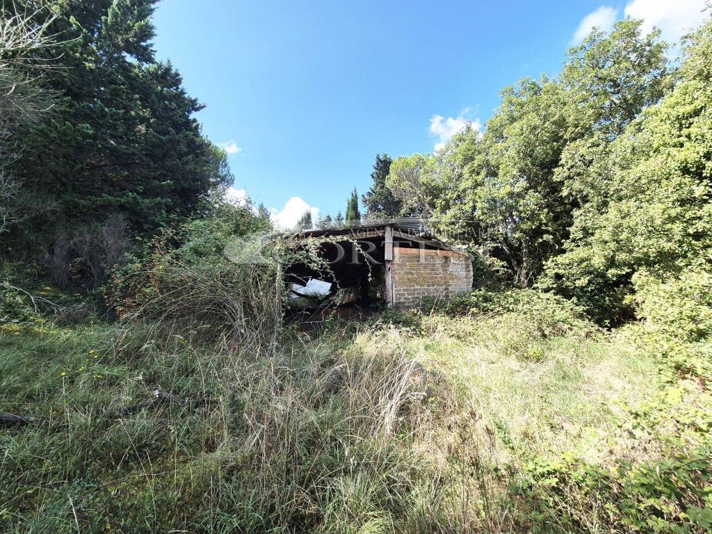 Terreno a Monte santa maria tiberina in Monte Santa Maria Tiberina - Foto 3