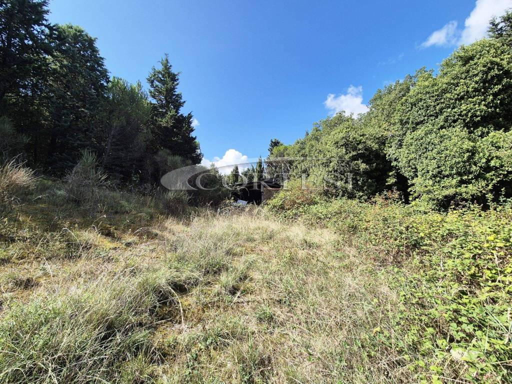 Terreno a Monte santa maria tiberina in Monte Santa Maria Tiberina - Foto 4
