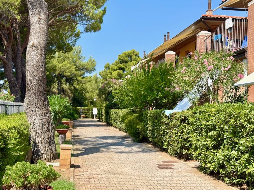 Appartamento a San vincenzo in Via Ernesto Solvay, 5 - Foto 3