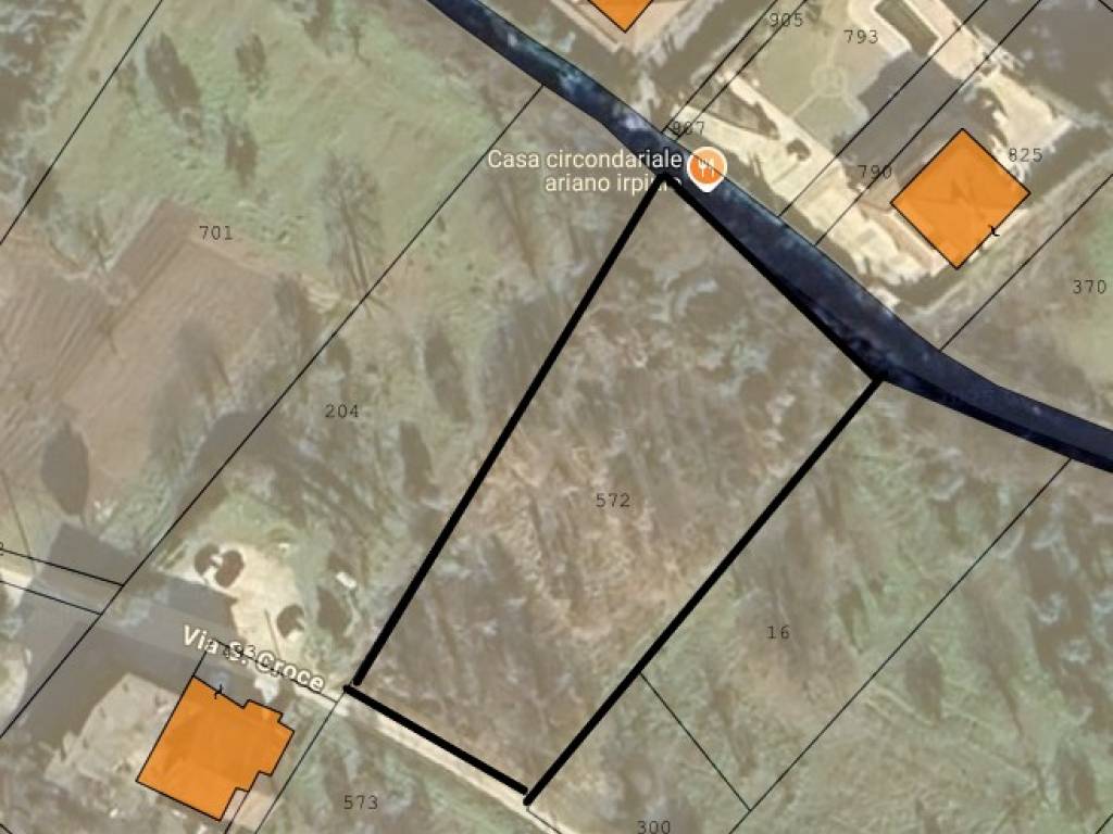 immagine di copertina