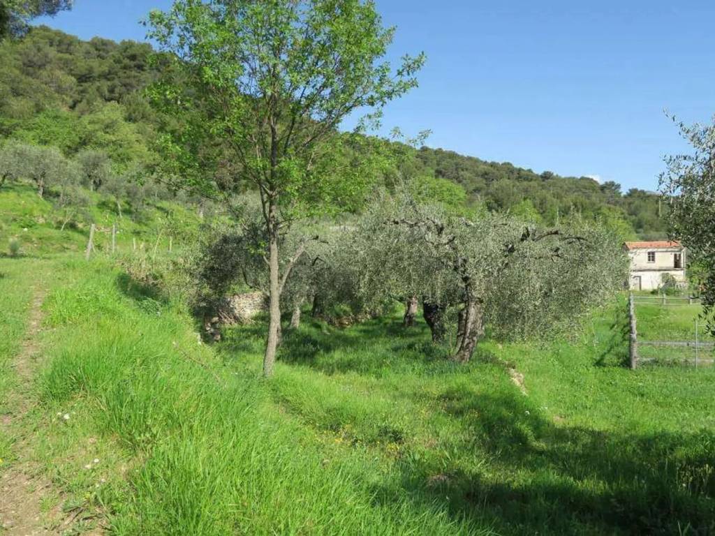 Terreno a San bartolomeo al mare in Via Arboree - Foto 3