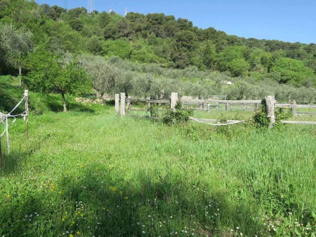 Terreno a San bartolomeo al mare in Via Arboree - Foto 5