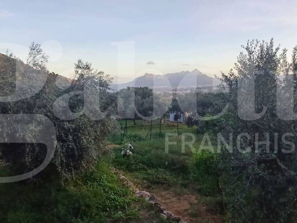Terreno a Bagheria in Via S. Isidoro Monte, snc - Foto 5
