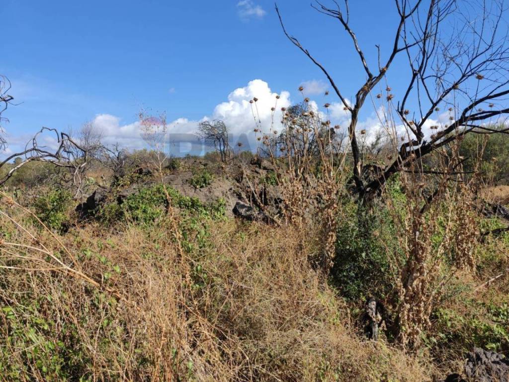 Terreno a Belpasso in contrada sciare vignale - Foto 3