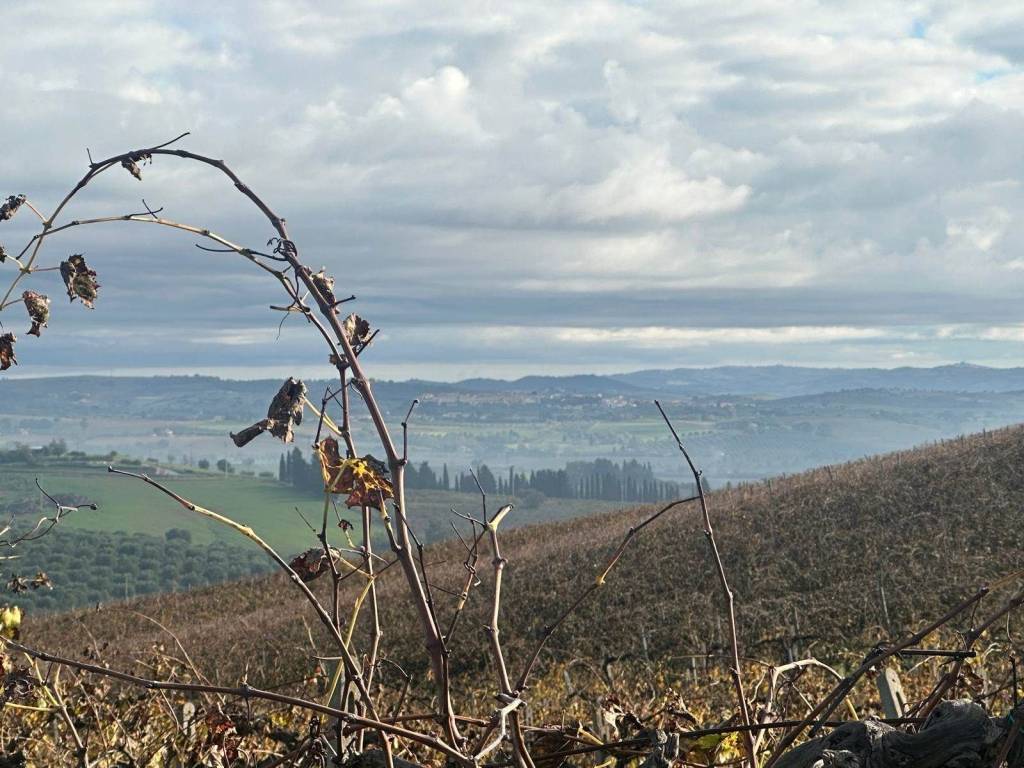 Terreno a Orbetello - Foto 3