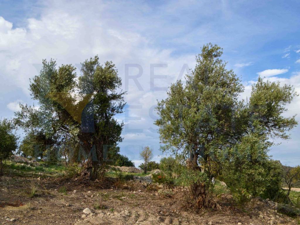 Terreno a Noto in Strada Provinciale Serra del Ventro Tre Fontane - Foto 5