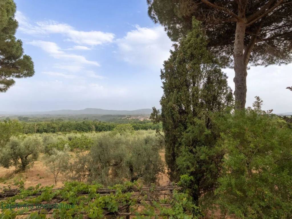 Rustico / casale a Capranica in Strada Paliano - Foto 3