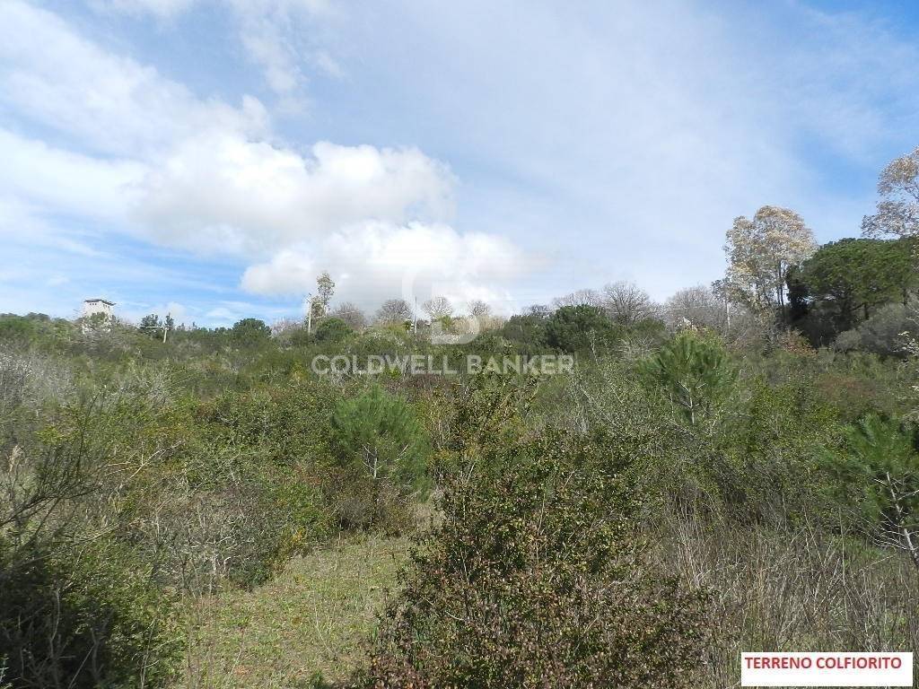 Terreno a Santa marinella in Via Colfiorito - Foto 3