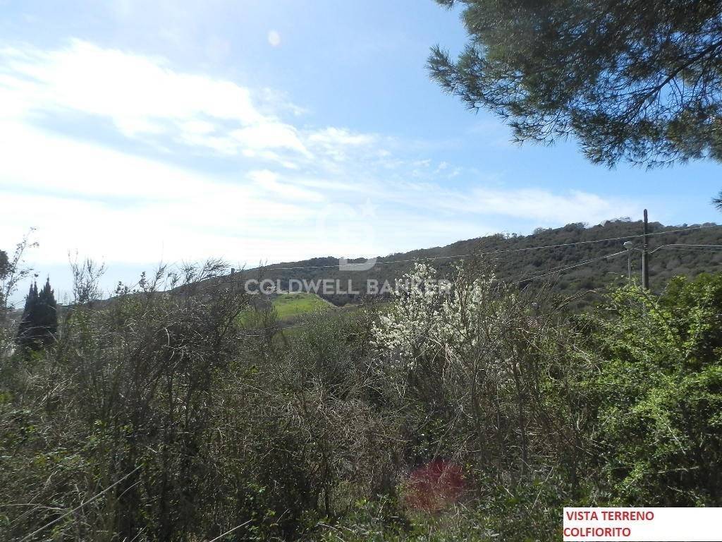 Terreno a Santa marinella in Via Colfiorito - Foto 4