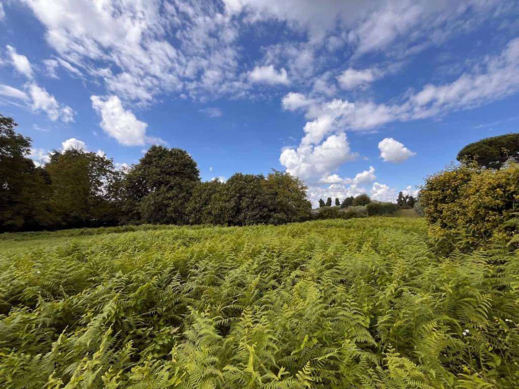 Terreno a Rocca priora in Via delle Ortensie - Foto 5
