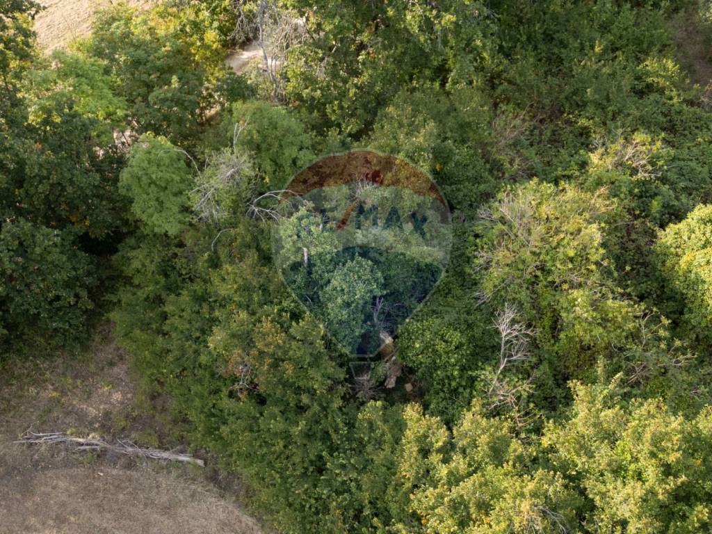 Terreno a Terre roveresche in Via Giardino Campioli 10 - Foto 5