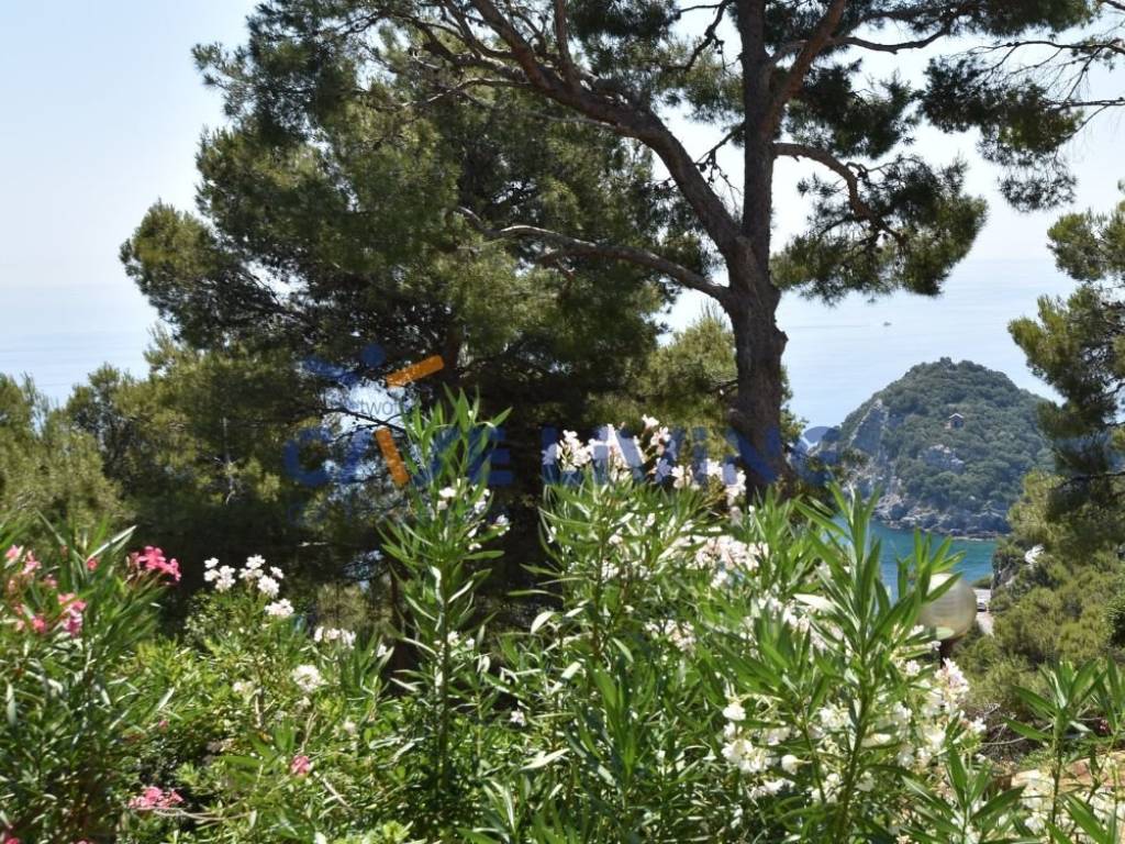 Appartamento a Spotorno - Foto 4