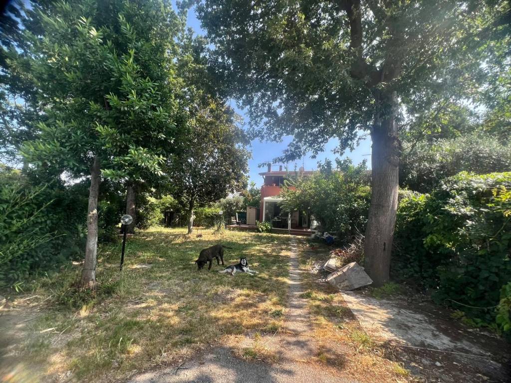 Villa a Cerveteri in Via Arrigo Boito - Foto 2