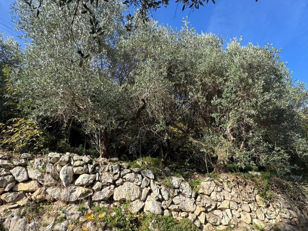 Terreno a Verona in Via Ca' Nove Ronchi - Foto 5