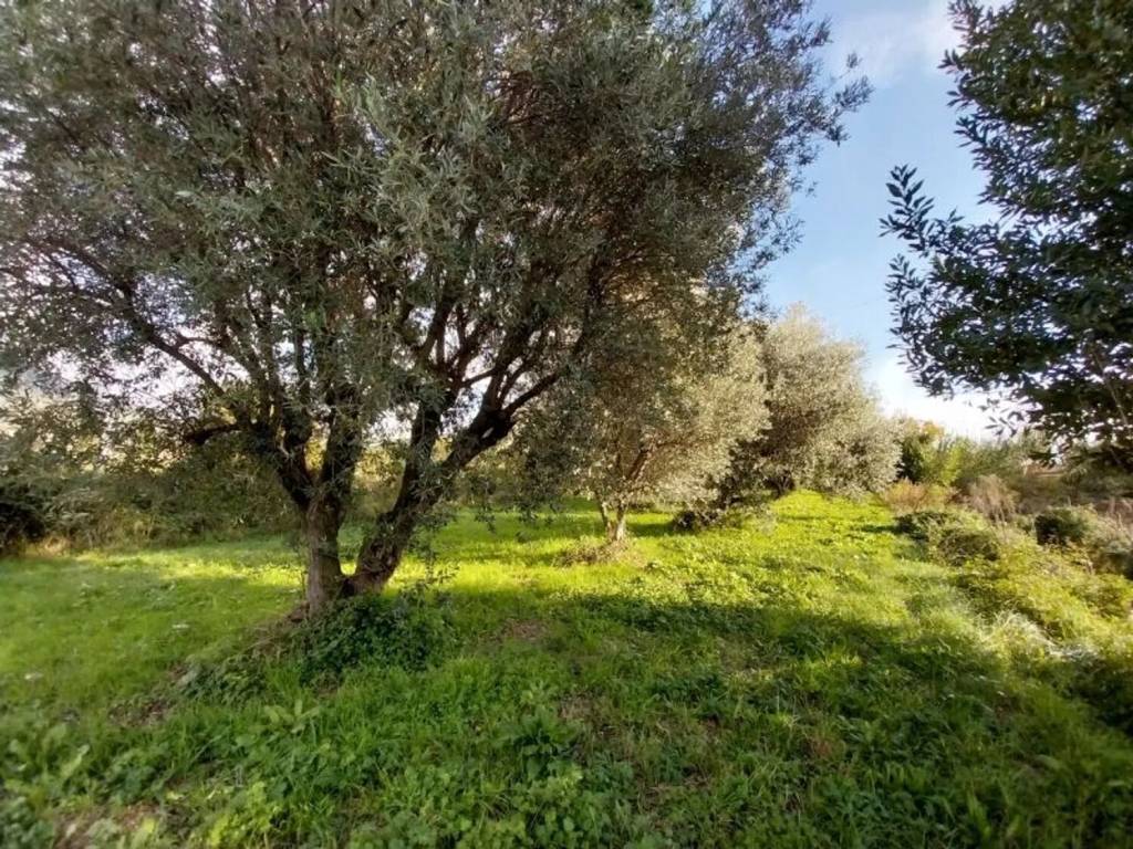 Rustico / casale a Pietrasanta - Foto 4
