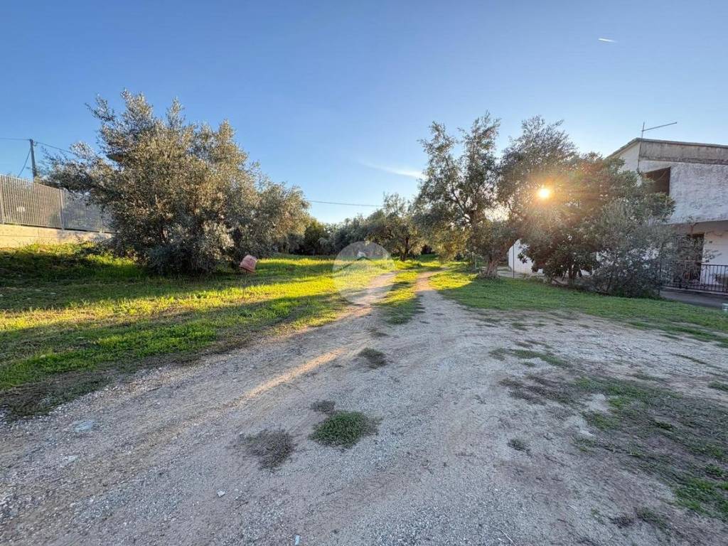 Terreno a Montalto uffugo in VIA Generale Carlo Alberto Dalla Chiesa, 19 - Foto 3