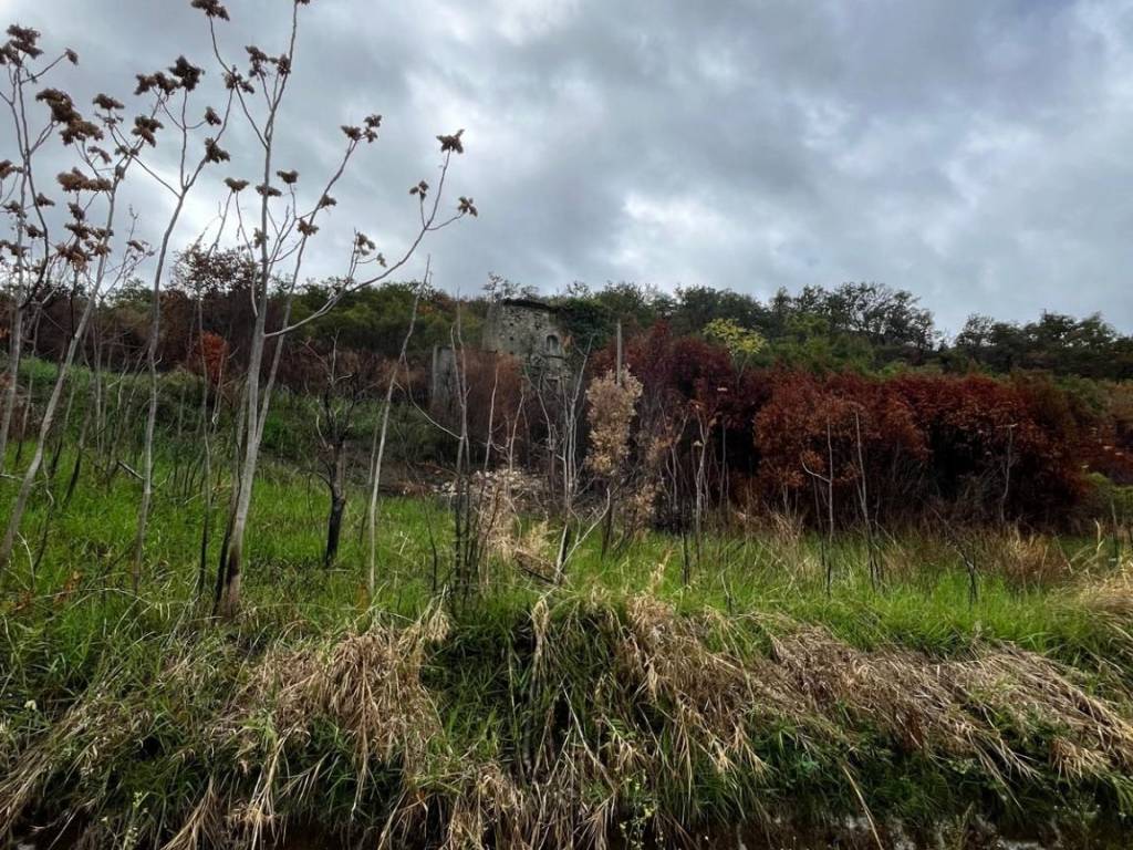 Terreno a Amantea in Via Colongi - Foto 3