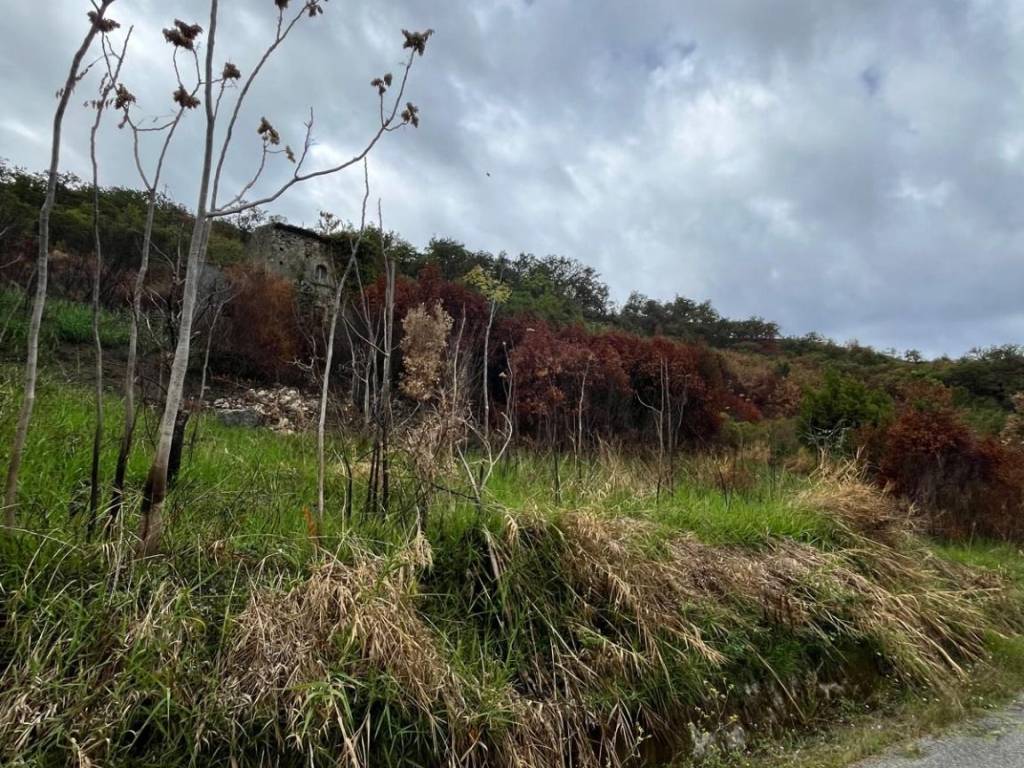 Terreno a Amantea in Via Colongi - Foto 4