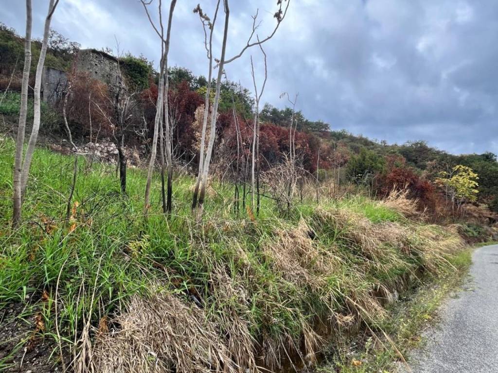 Terreno a Amantea in Via Colongi - Foto 5