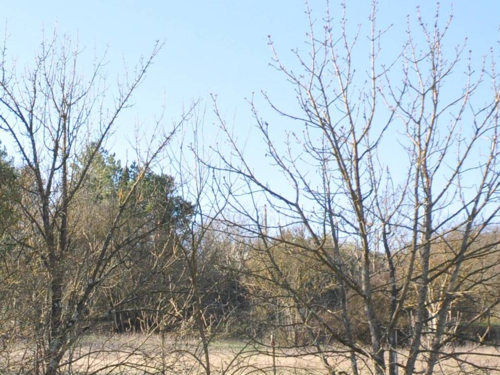 Terreno a Impruneta - Foto 3
