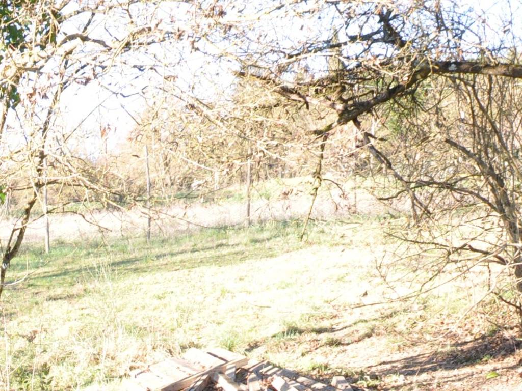 Terreno a Impruneta - Foto 4