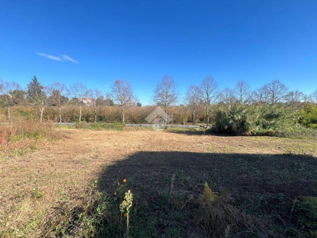 Terreno a Corchiano in Via XXV aprile - Foto 3