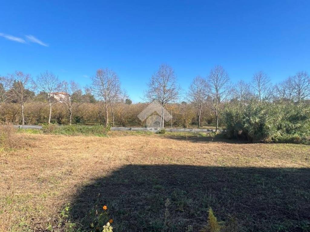 Terreno a Corchiano in Via XXV aprile - Foto 4