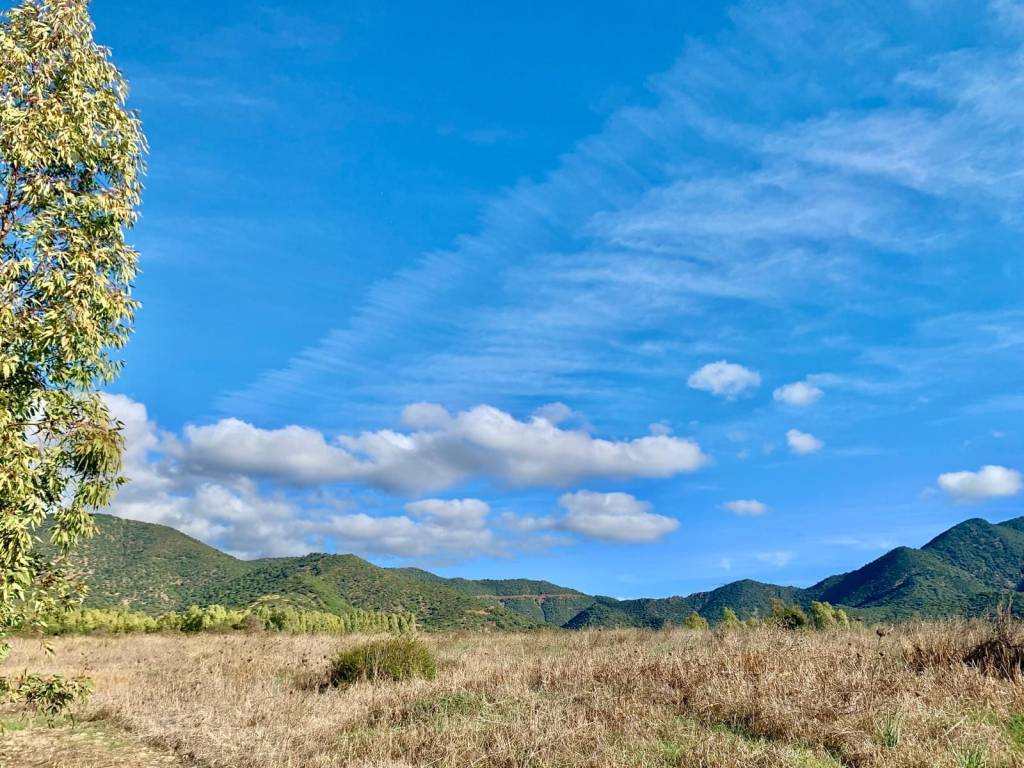 Terreno a Muravera in Strada Statale Orientale Sarda - Foto 3
