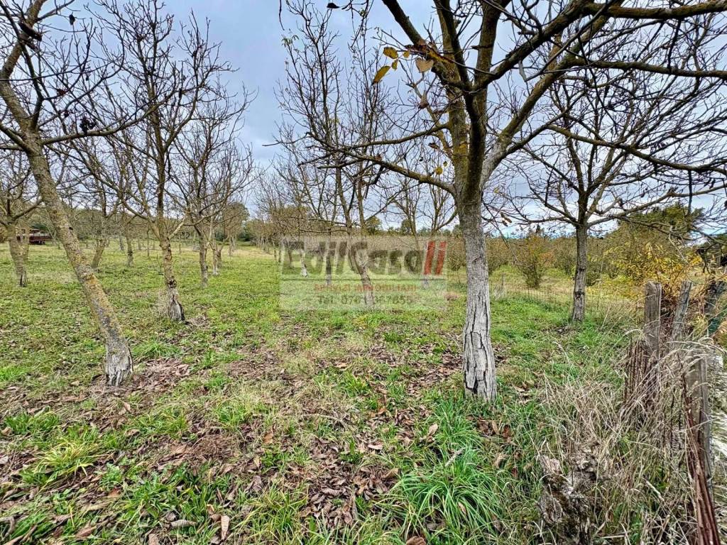 Terreno a Soriano nel cimino in Via Vittorio Emanuele II - Foto 2
